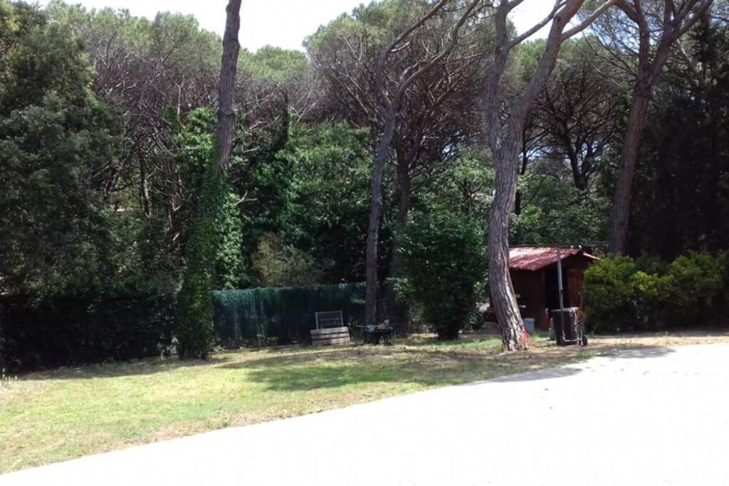 Casa En Parque Natural Del Montseny.